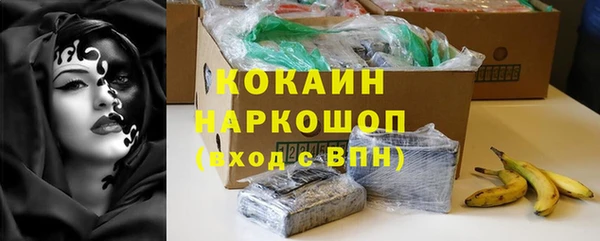 гидра Богданович