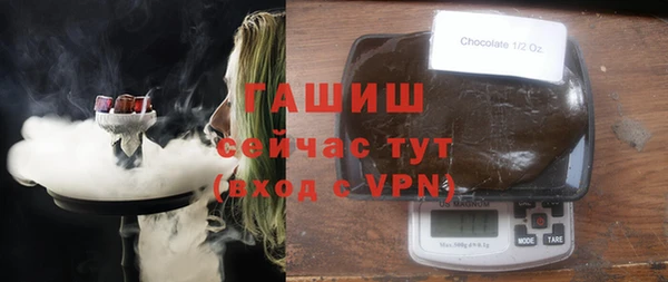 гидра Богданович