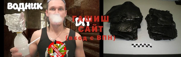 гидра Богданович
