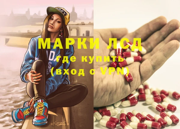 гидра Богданович