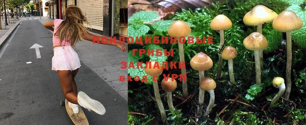 гидра Богданович