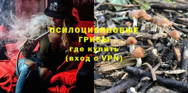 гидра Богданович